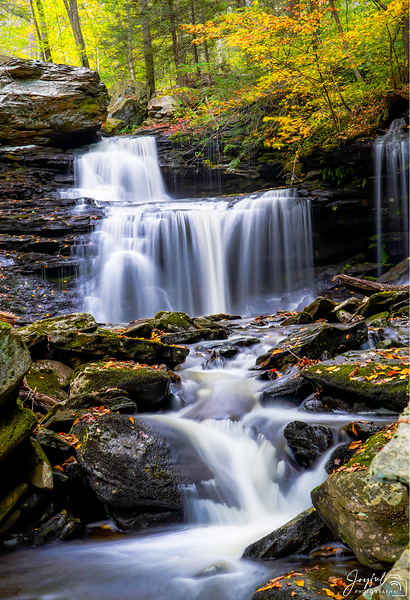 Ricketts Glen 6 Print