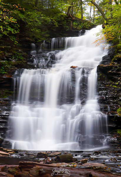 Ricketts Glen Ganoga Print