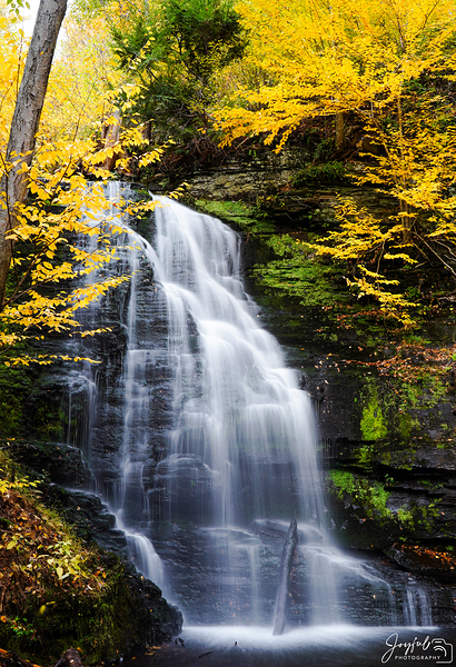 Small Falls by Joyful Photography