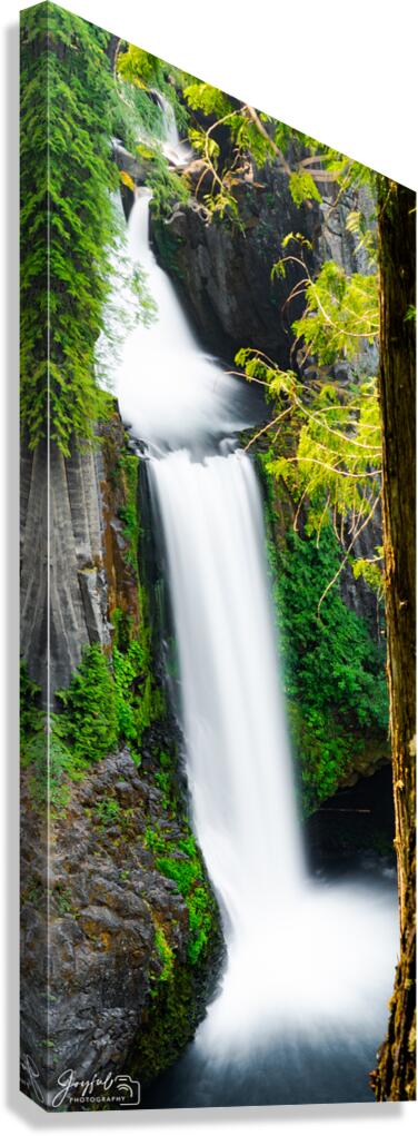 Toketee Falls 2x5 Canvas Print