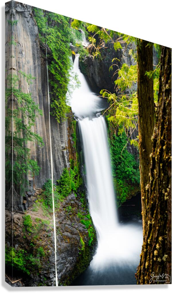 Toketee Falls Canvas Print