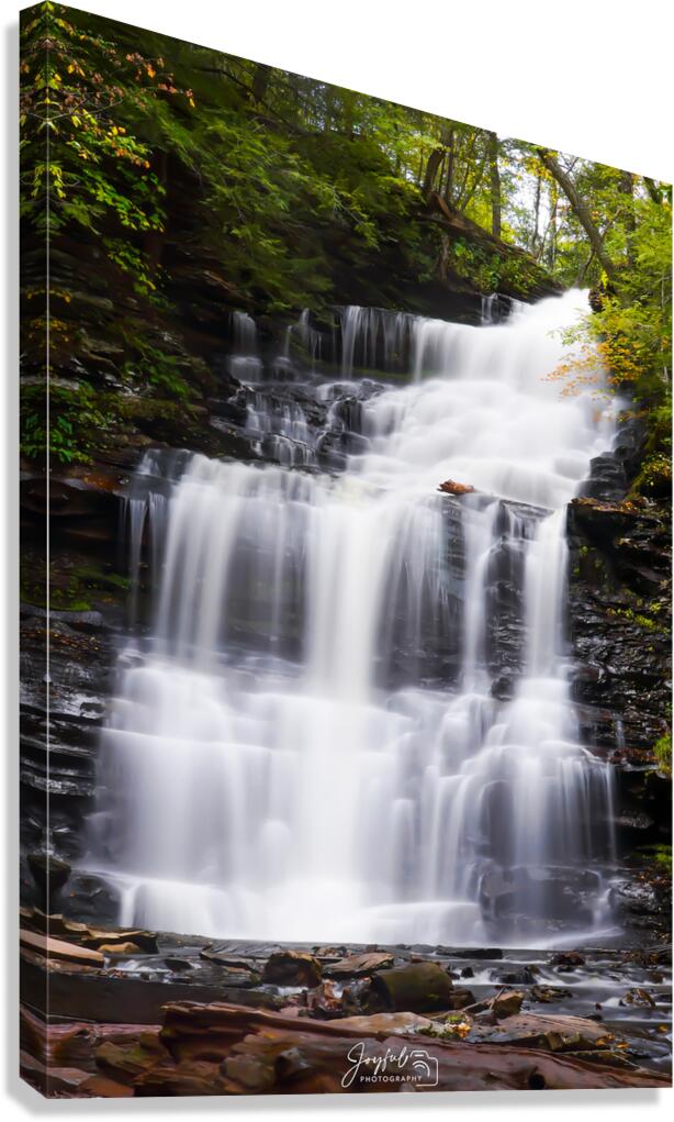 Ricketts Glen Ganoga Canvas Print