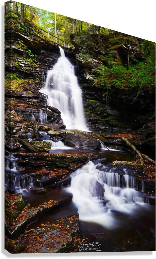 Ricketts Glen 5 Canvas Print