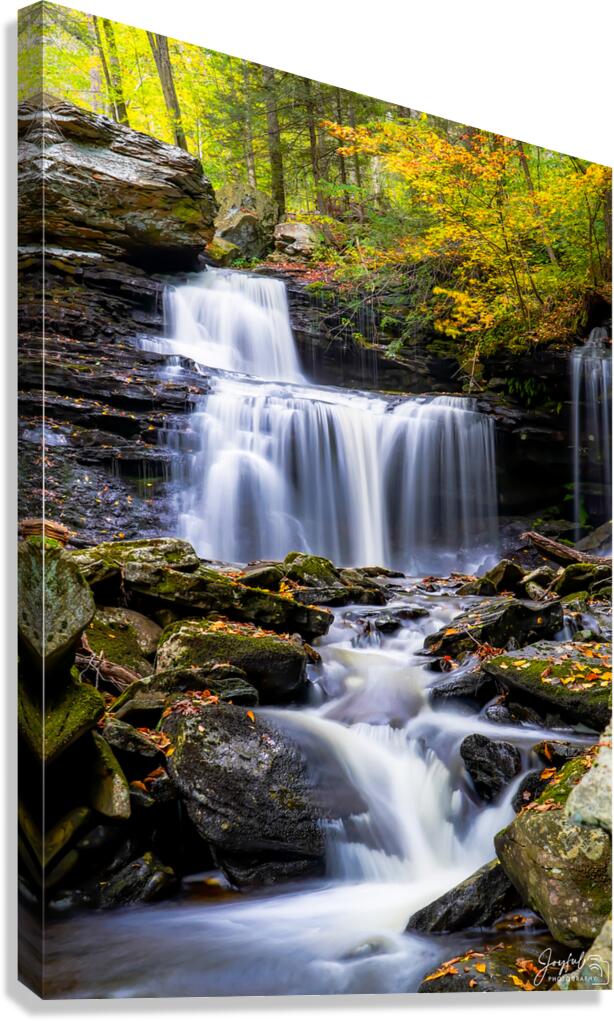 Ricketts Glen 6 Canvas Print