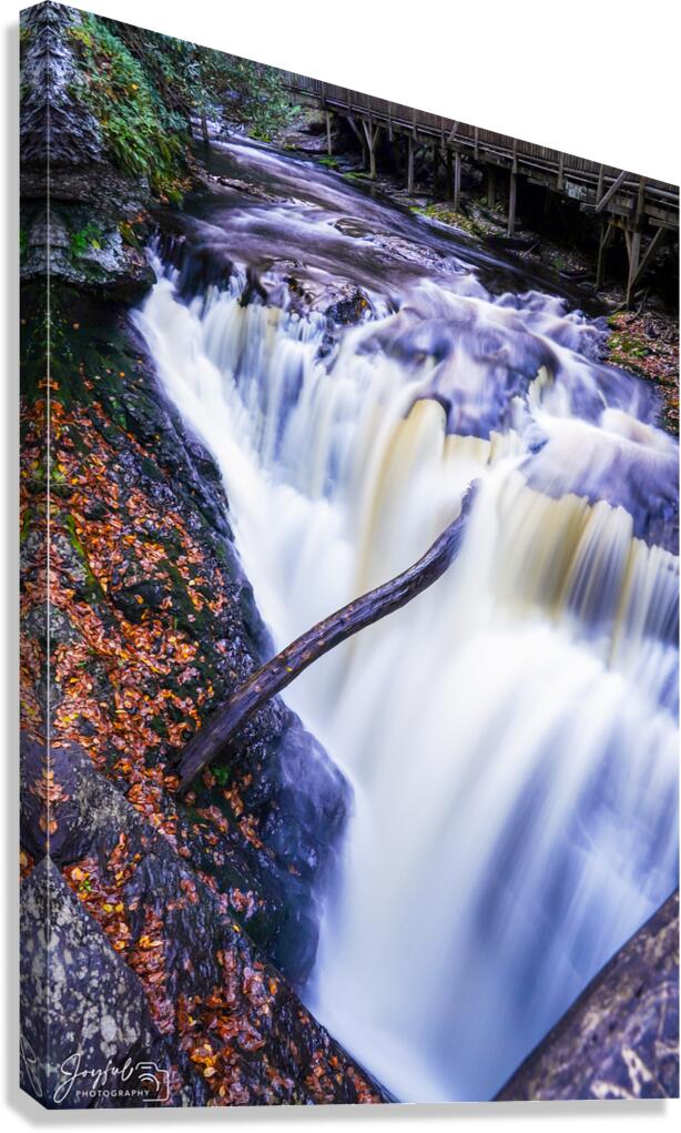 Narrow Falls Canvas Print