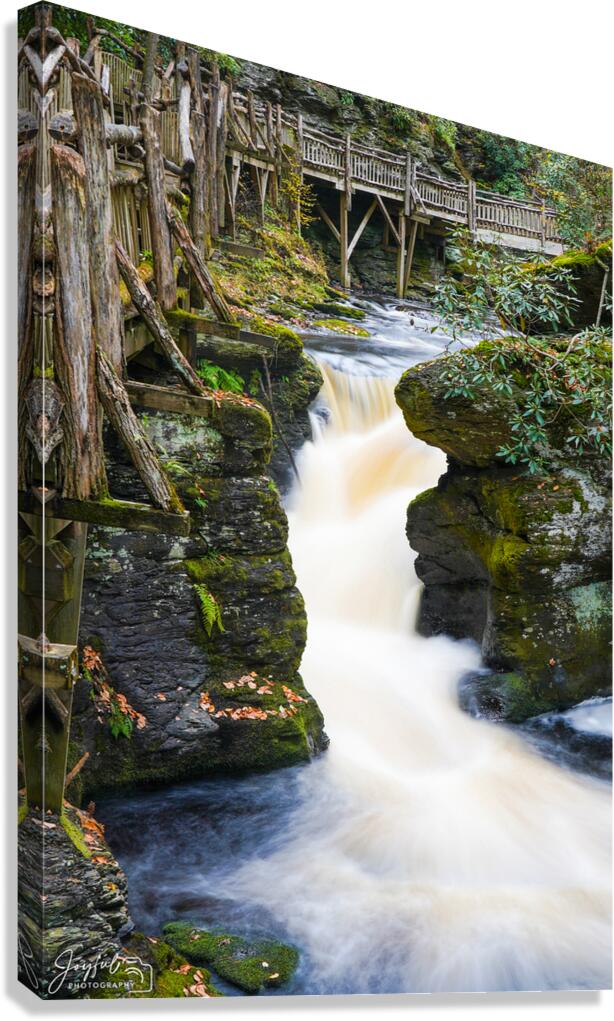 Rapids Canvas Print