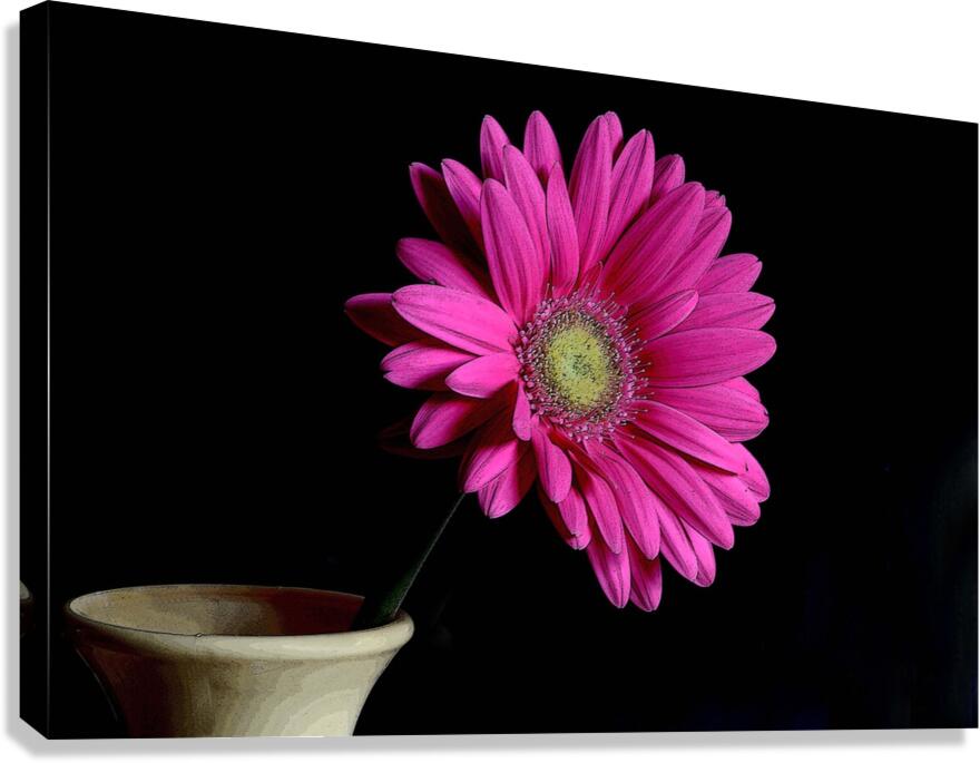 REACHING OUT Canvas Print