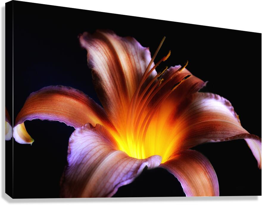 Deep Within  Canvas Print
