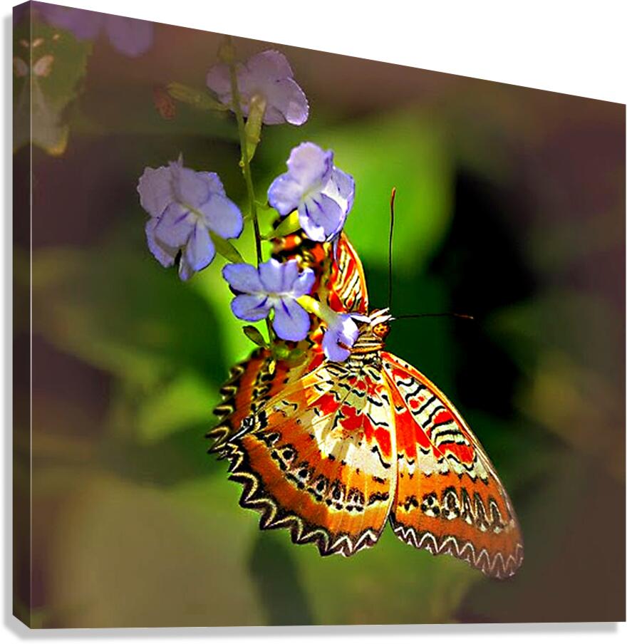 Snack Time Canvas Print