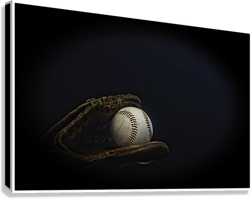 Play Ball Canvas Print