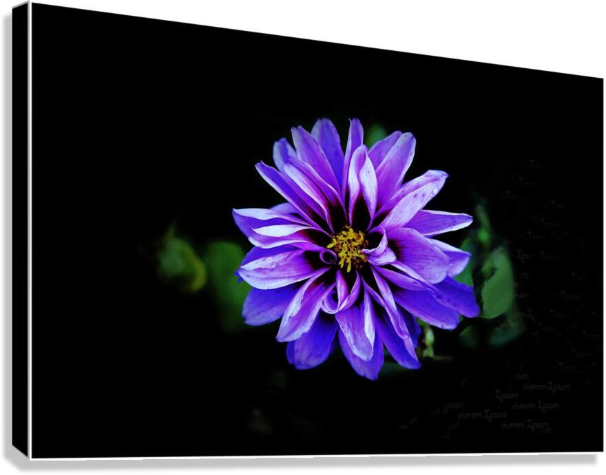 With Open Arms Canvas Print