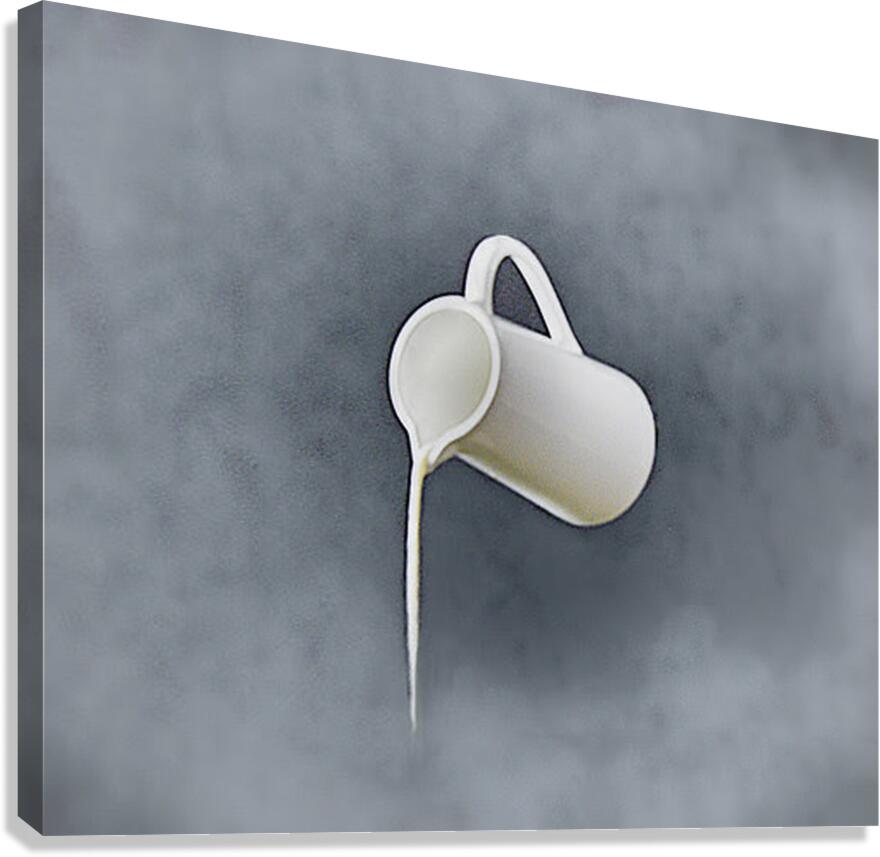 Illusion Canvas Print