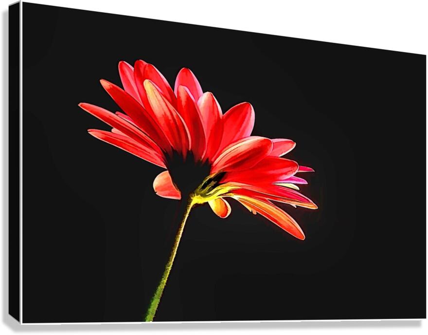 Reaching Canvas Print
