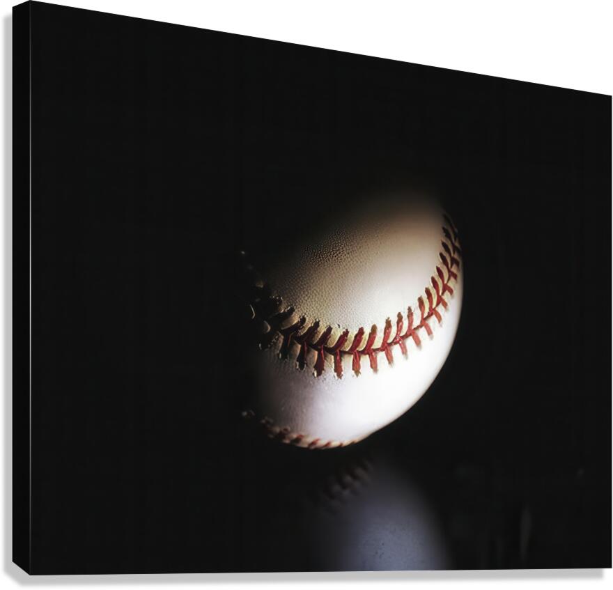 Play Ball Canvas Print