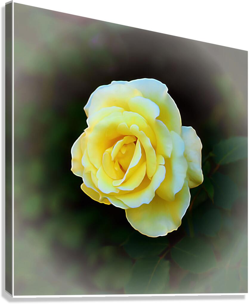 Innocense Canvas Print