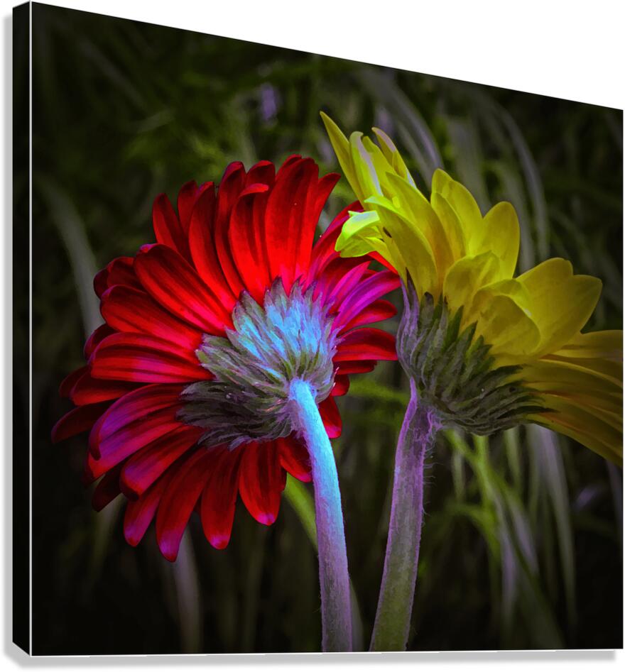 Breaking Up Canvas Print