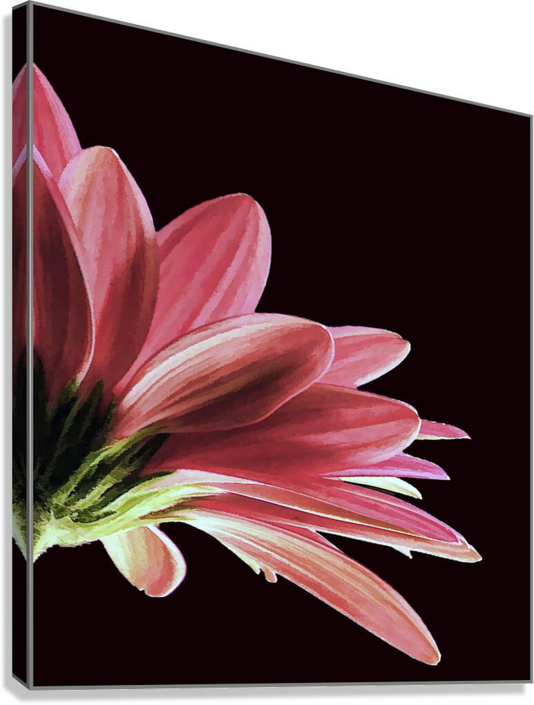 So Beautiful Canvas Print