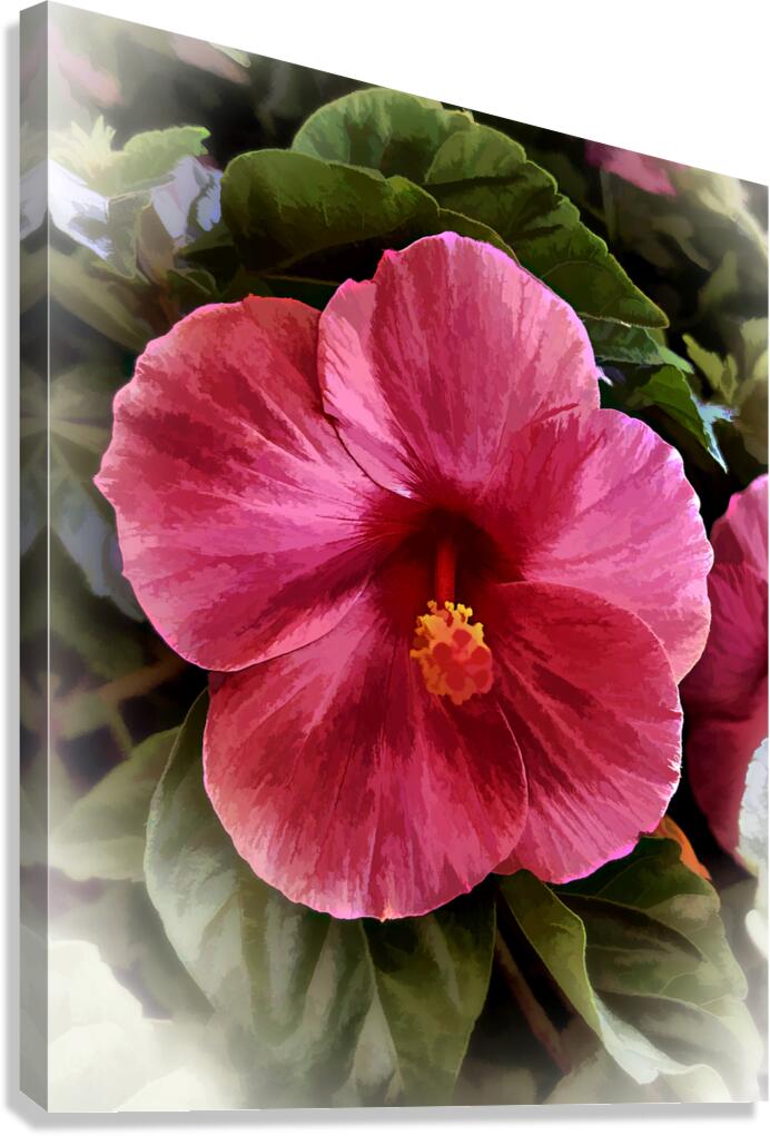 Pretty Canvas Print