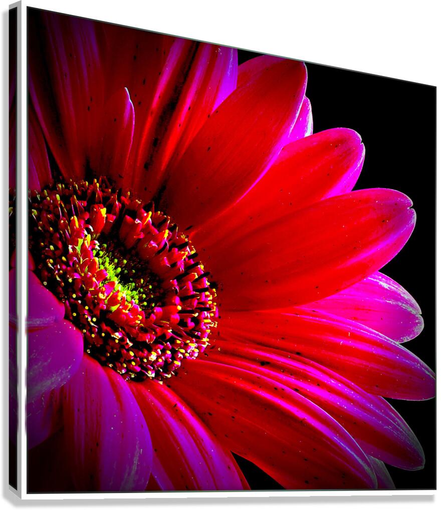 So Vibrant Canvas Print