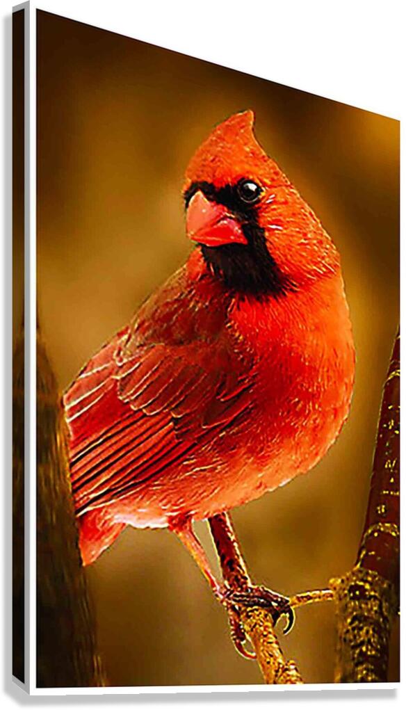 How s This Side Canvas Print