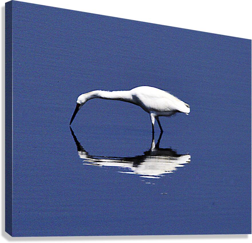 Reflection Canvas Print