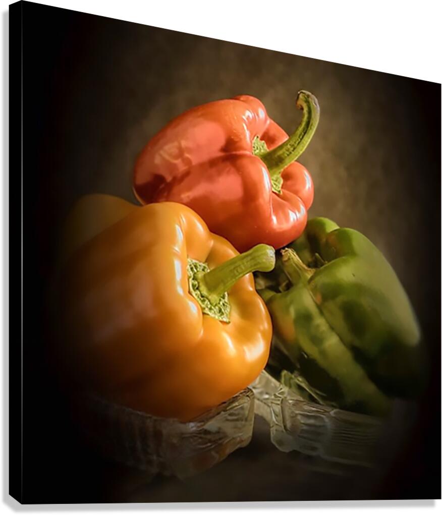 Friends Canvas Print