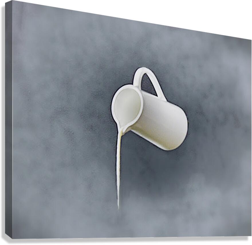 Illusion Canvas Print