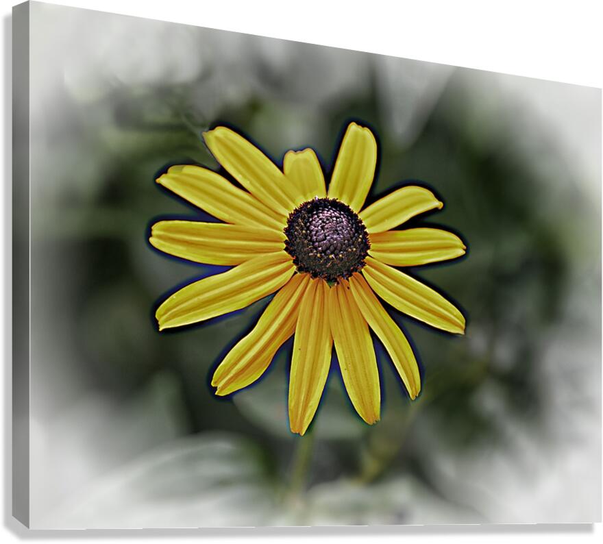With Open Arms Canvas Print