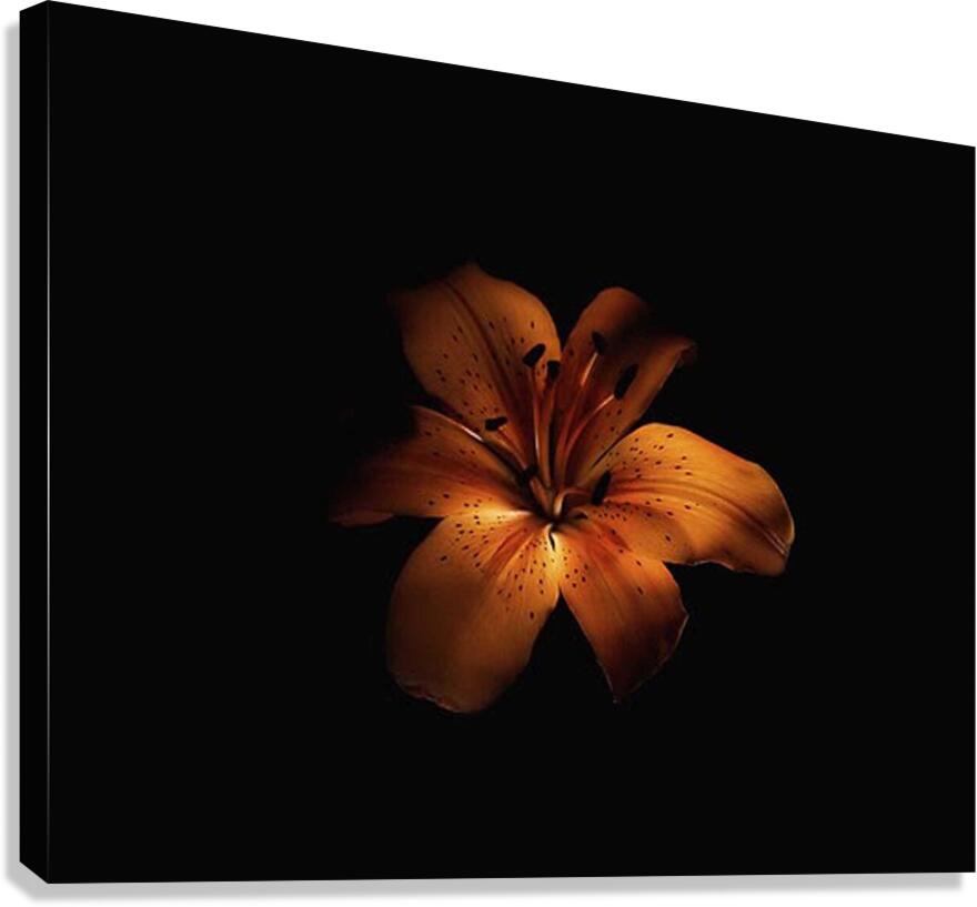 WITH LOVE Canvas Print