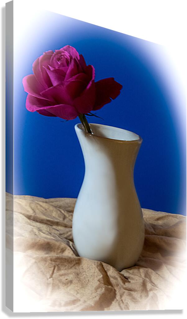 For You Canvas Print