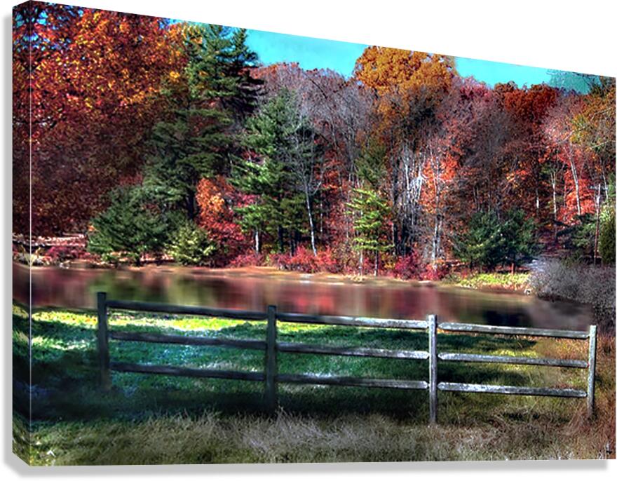 What A View Canvas Print