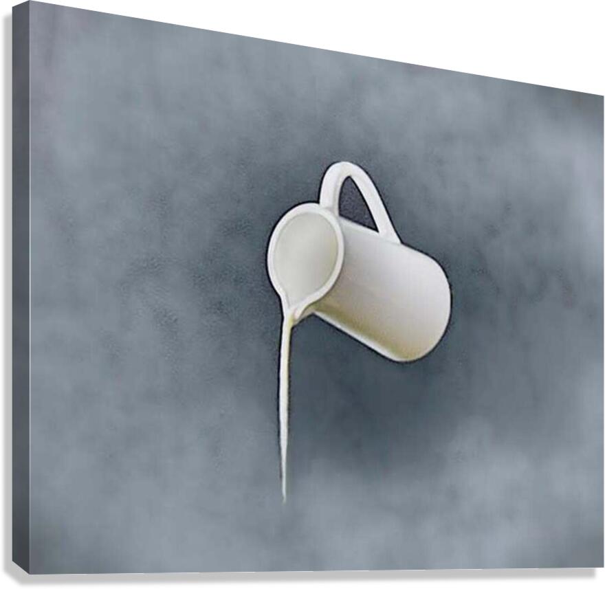 Illusion Canvas Print