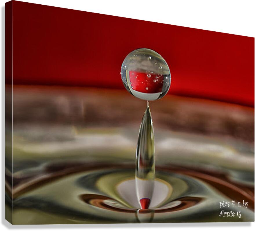 Balancing Act Canvas Print