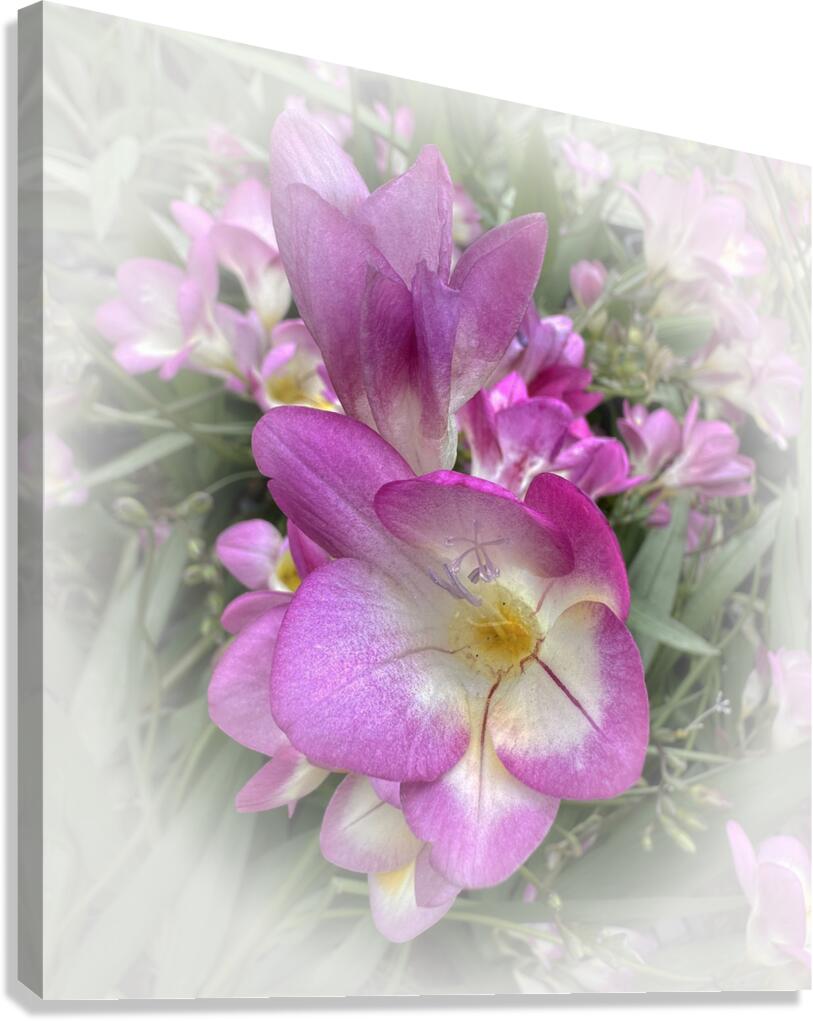 Pretty Canvas Print