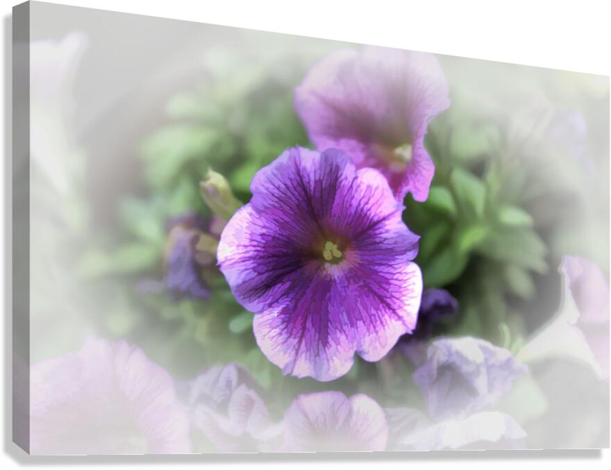 So Delicate Canvas Print