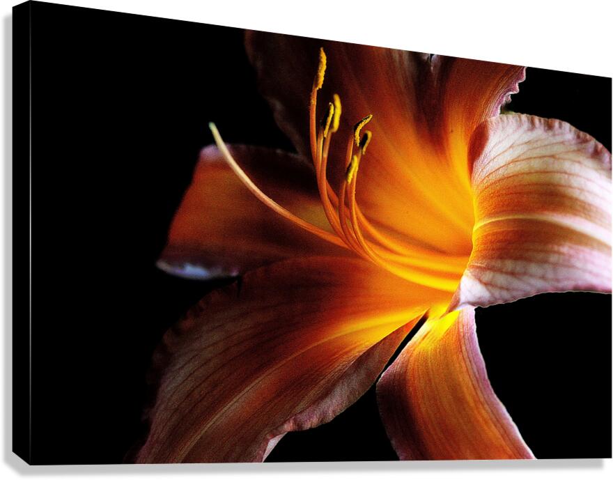 An Inner Glow Canvas Print