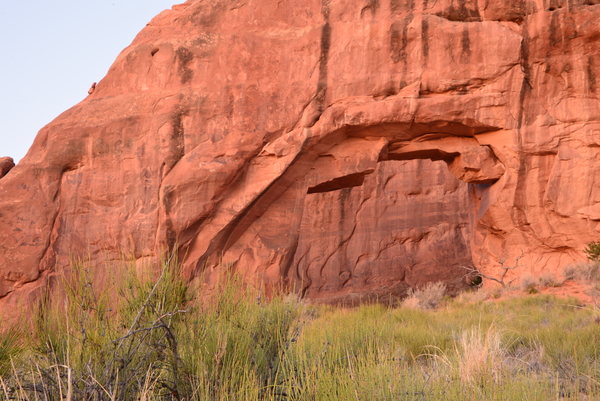 The Pine Tree Arch Print