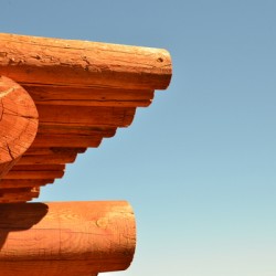 Cedar Log Building