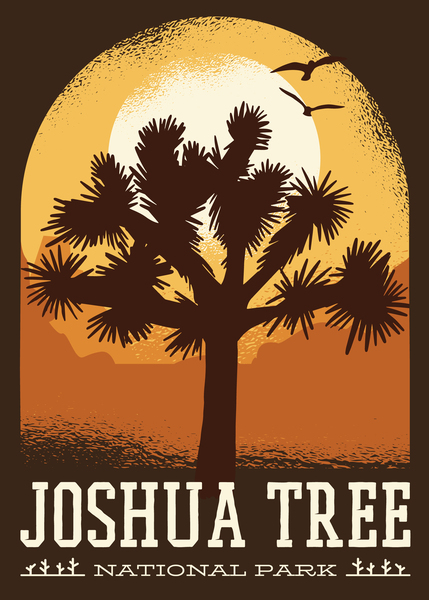 Joshua Tree National Park by SamKal