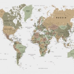 Political world map