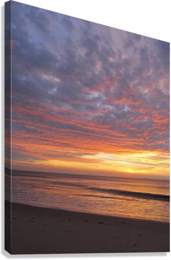 pink clouds dancing Canvas Print