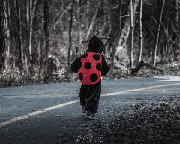 Ladybug by Boomyourlife