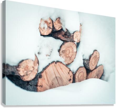 wood logs  Canvas Print