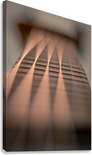 Fretboard Canvas Print