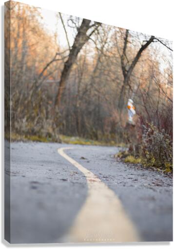Piste cyclable  Canvas Print