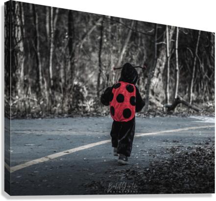 Ladybug Canvas Print