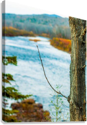 River view Canvas Print