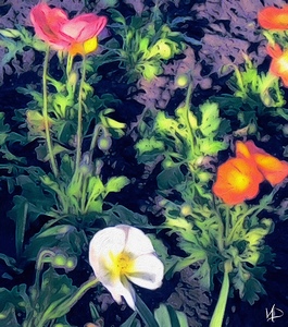 spring floral