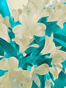 vanilla turquoise