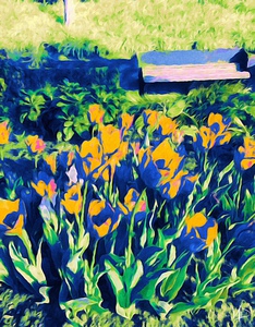 sitting in the garden